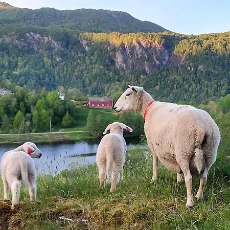 Διαμέρισμα Shelby's