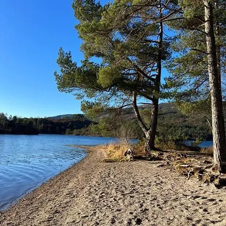 Διαμέρισμα Shelby's *