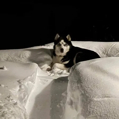 Shelby's Apartment *